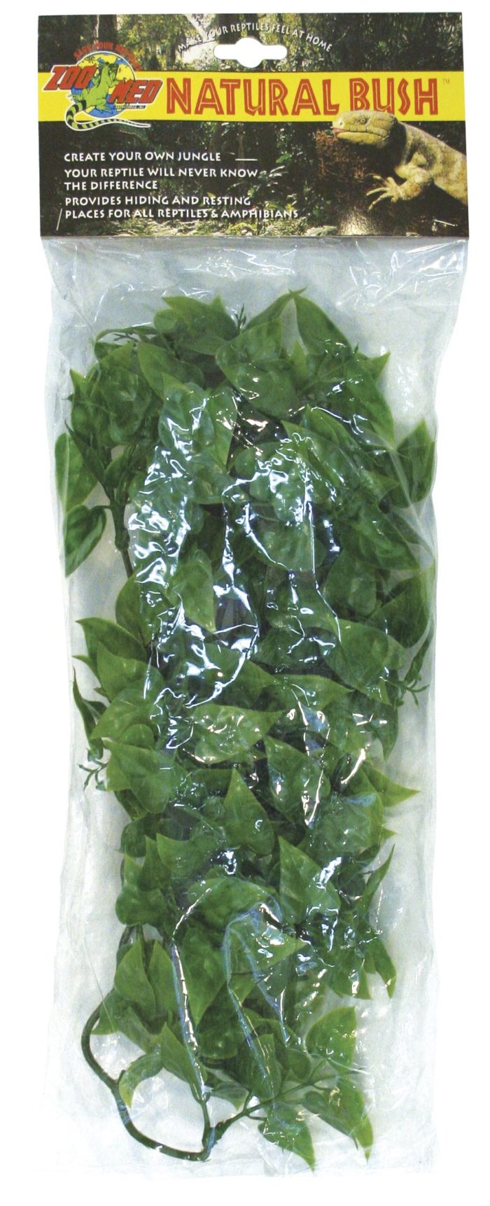 Zoomed Natural Bush Mexican Phyllo