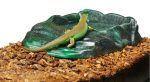 Zoomed Repti Rock  Ramp Bowls