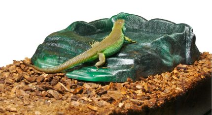 Zoomed Repti Rock  Ramp Bowls